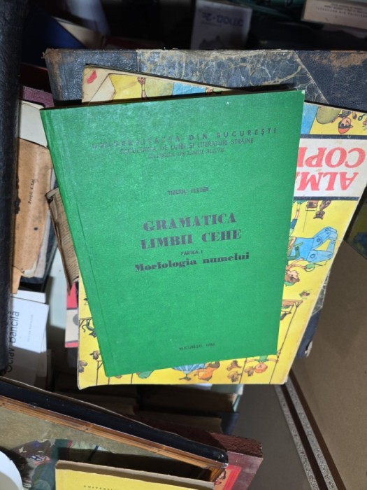 Gramatica limbii cehe. Partea I. Morfologia numelui - Tiberiu Pletner