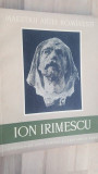 Ion Irimescu- Marin Mihalache