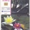 bnk card Cartela telefonica 2001 - Delta 6 - RO-ROM-0108B