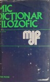 Mic Dictionar Filozofic - Carte Beletristica