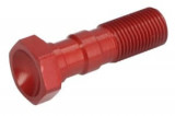 Șurub conductă fr&acirc;nă M10x1,25, colour: Red (for 2 pipes), Trw
