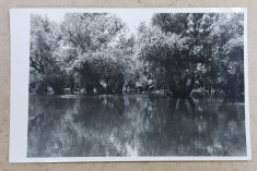 BALTA BRAILEI , CANALUL FILIPOIU , FOTOGRAFIE TIP CARTE POSTALA , MONOCROMA, IULIE 1933 foto