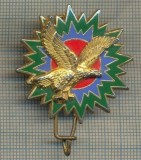 Y 1124 INSIGNA - MILITARA - AVIATIE - DRAGO - PARIS -FRANTA-PENTRU COLECTIONARI