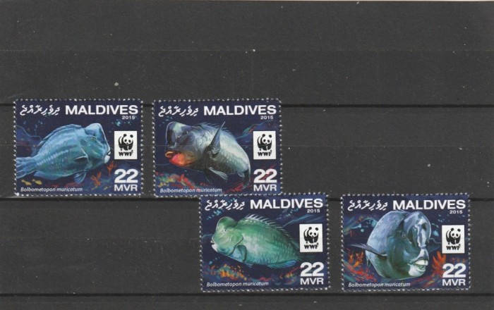 Maldive 2016 - Fauna , WWF , Peste , Bolbometopon , serie 4 valori , dantelate , MNH , Mi.6200-6203
