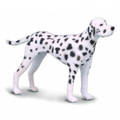 Figurina Dalmatian Collecta, 8 cm x 6 cm, 3 ani + foto