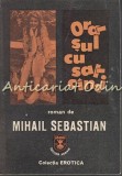 Orasul cu salcami - Mihail Sebastian, Editura Arania, Brasov, 159 pagini, roman