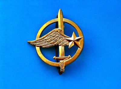 Insigna Bereta ComandamentuL Aerian-RARA-50mm.-42 mm. foto