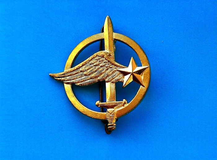 Insigna Bereta ComandamentuL Aerian-RARA-50mm.-42 mm.
