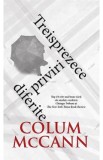 Treisprezece priviri diferite - Colum McCann