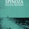 Spinoza: Practical Philosophy