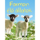 Kis k&ouml;nyvt&aacute;r - Farmon &eacute;lő &aacute;llatok - Katie Daynes