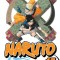 Naruto, Volume 17