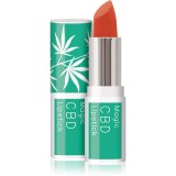Dermacol Cannabis Magic CBD balsam ph auto-colorant de buze culoare 06 3.5 ml