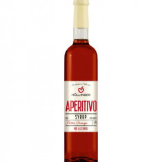 Sirop Aperitiv Bitter Orange Fara Alcool 1:9 Bio 500 mililitri Hollinger