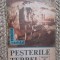 PESTERILE TERREI-TRAIAN CONSTANTINESCU