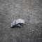 Buton geam ușă st&acirc;nga spate VW PASSAT Variant B6 3C5 2008 OEM: 7L6959855B 3598120