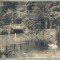 AD 421 C. P. VECHE-POUGUES-LES-EAUX -FRANTA -1914-CATRE L.OTETELESANU ,BUCURESTI