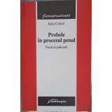 PROBELE IN PROCESUL PENAL. PRACTICA JUDICARA-IULIA CIOLCA-247308