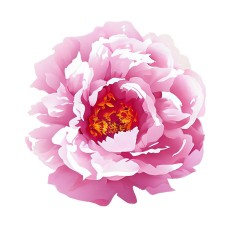Sticker decorativ Bujor, Roz, 61 cm, 7760ST foto