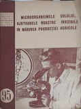 MICROORGANISMELE SOLULUI, AJUTOARELE NOASTRE INVIZIBILE IN MARIREA PRODUCTIEI AGRICOLE-COLECTIV-249797