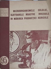 MICROORGANISMELE SOLULUI, AJUTOARELE NOASTRE INVIZIBILE IN MARIREA PRODUCTIEI AGRICOLE-COLECTIV-249797