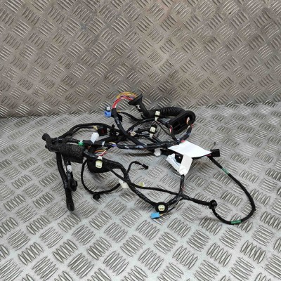 Cablaj ușă st&amp;acirc;nga față TESLA MODEL 3 2022 OEM: 3067957-02-C 25408565 foto