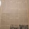 scanteia 23 iulie 1952-legea marilor drepturi si libertati,constitutia