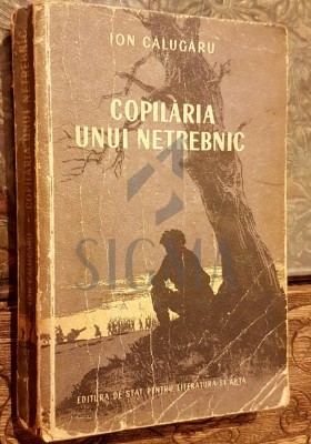 COPILARIA UNUI NETREBNIC foto