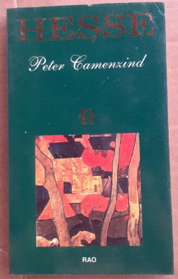 (C537) HESSE - PETER CAMENZIND foto