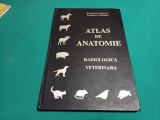 ATLAS DE ANATOMIE RADIOLOGICĂ VETERINARĂ *ALEXANDRU POPESCU /2000 *59