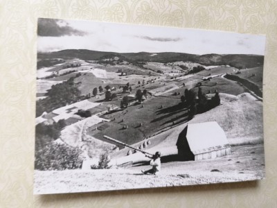 Vedere din Muntii Apuseni foto