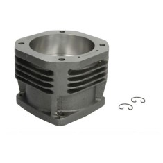 Ansamblu compresor BF