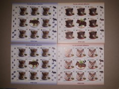 TIMBRE ROMANIA MNH-2012/LP1960d- PUI DE ANIMALE SALBATICE