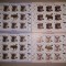 TIMBRE ROMANIA MNH-2012/LP1960d- PUI DE ANIMALE SALBATICE