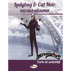 Ladybug &amp; Cat Noir versus Akuma. Carte de activitati