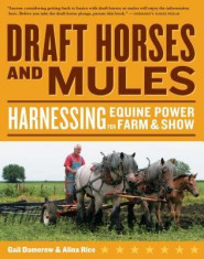 Draft Horses and Mules: Harnessing Equine Power for Farm &amp;amp; Show foto