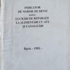 INDICATOR DE NORME DE DEVIZ PENTRU LUCRARI DE REPARATII LA ALIMENTARI CU APA SI CANALIZARE. RPAC -1981-GRUPUL DE