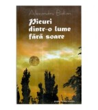 Alexandru Bidian - Picuri dintr-o lume fara soare - versuri - Editia