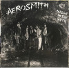 Vinil Aerosmith ‎– Night In The Ruts (VG+), Rock