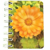 Cumpara ieftin Carnet cu spira Floare portocalie, 7 x 10 cm, 75 foi veline