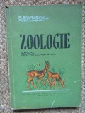 Zoologie - Manual pentu clasa a VI-a- E. Sanielevici