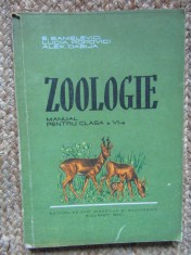 Zoologie - Manual pentu clasa a VI-a- E. Sanielevici