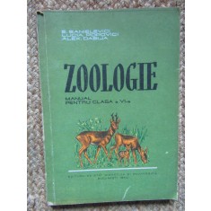 Zoologie - Manual pentu clasa a VI-a- E. Sanielevici