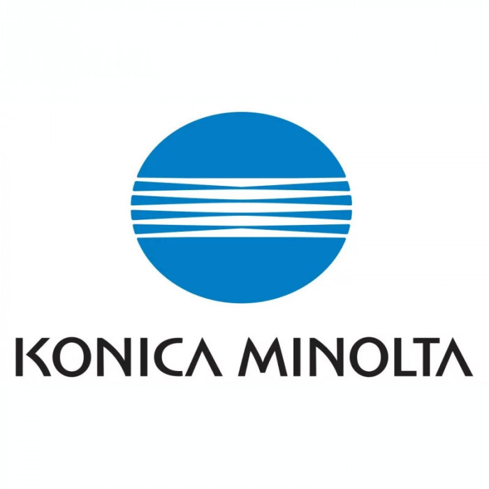 Cartus Toner Original Konica-Minolta Black TN-118 12K