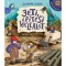 Jeti &eacute;p&iacute;t&eacute;si v&aacute;llalat - Czern&aacute;k Eszter