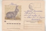 Bnk fil Plic tematica fauna uzat - circulat URSS-Romania 1974