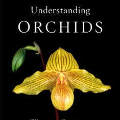 Understanding Orchids: An Uncomplicated Guide to Growing the World's Most Exotic Plants