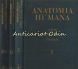 Cumpara ieftin Anatomia Humana I-III, M. Prives, Lisenkov, Bushkovich, Editura Mir, Moscova 1984, Spaniola, 3 Vol, Medicina
