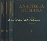 Cumpara ieftin Anatomia Humana I-III - M. Prives, N. Lisenkov, V. Bushkovich