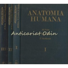 Anatomia Humana I-III - M. Prives, N. Lisenkov, V. Bushkovich